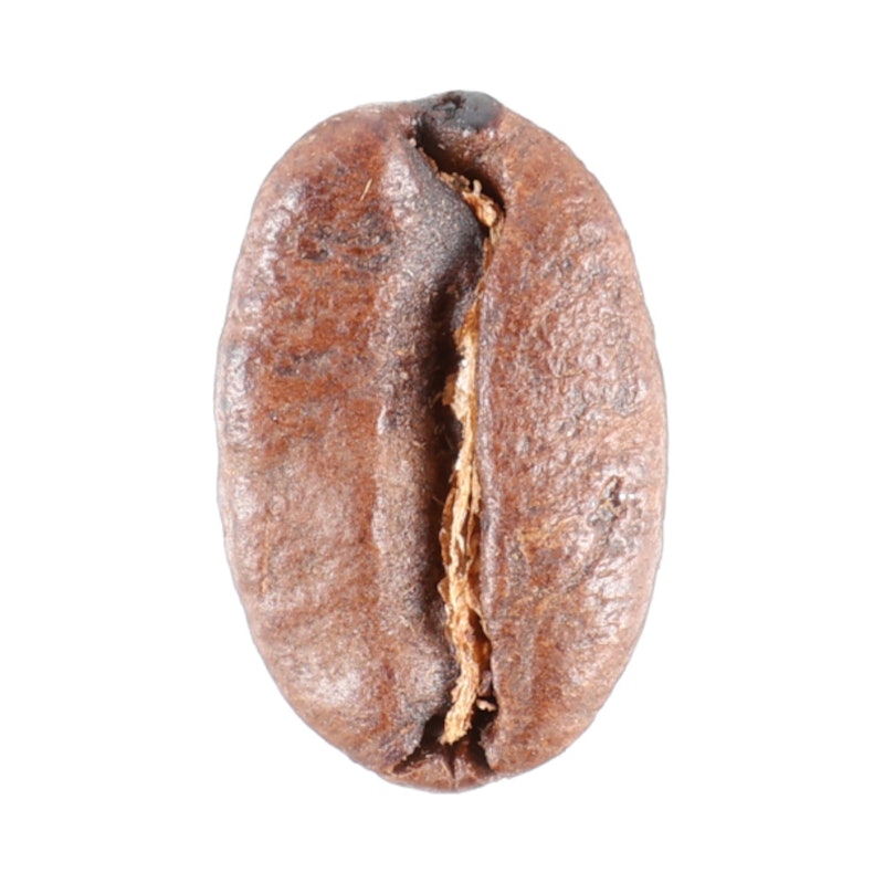 パラディッソ コーヒー豆 5