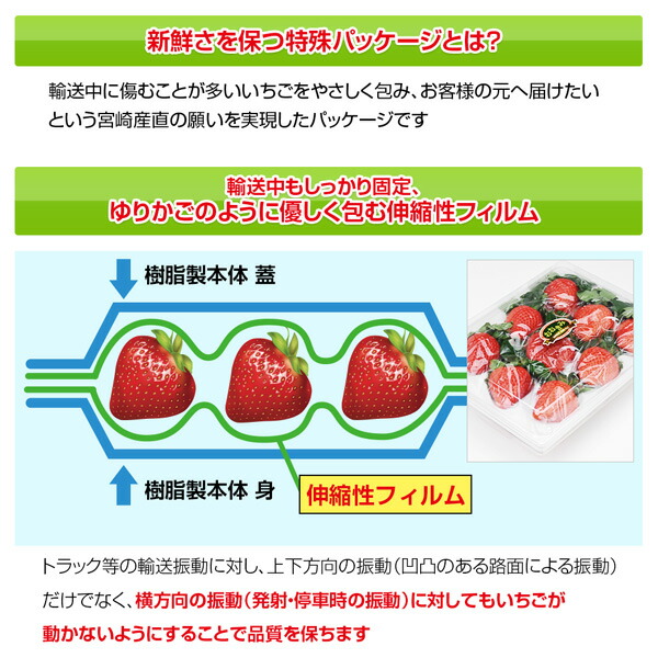 宮崎産高級いちご「おおきみ」超特大9粒 14