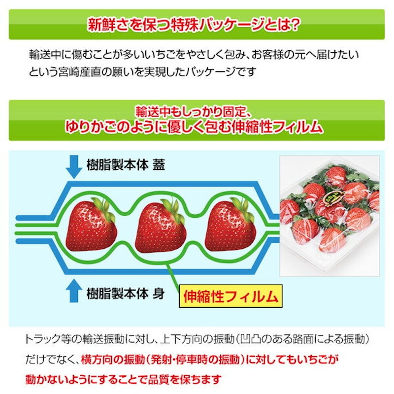 宮崎産高級いちご「おおきみ」超特大9粒 14