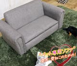 犬用ソファーのおすすめ人気ランキング【2026年6月】 5