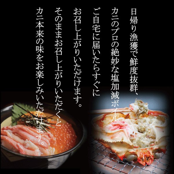 松葉ガニタグ付き 3