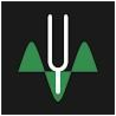 SoloTuner 1