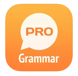English Grammar PRO 1