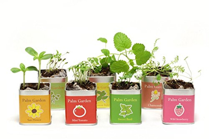 21年 ハーブ初心者向け栽培キットのおすすめ人気ランキング10選 Mybest 21年 ハーブ初心者向け栽培キットのおすすめ人気ランキング10選 Mybest