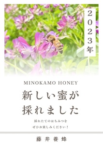 MINOKAMO HONEY 2