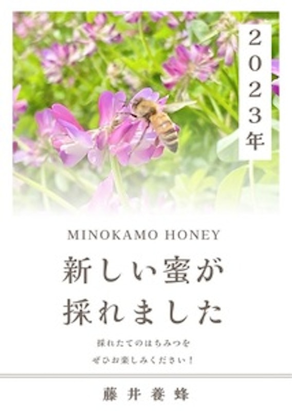 MINOKAMO HONEY 2