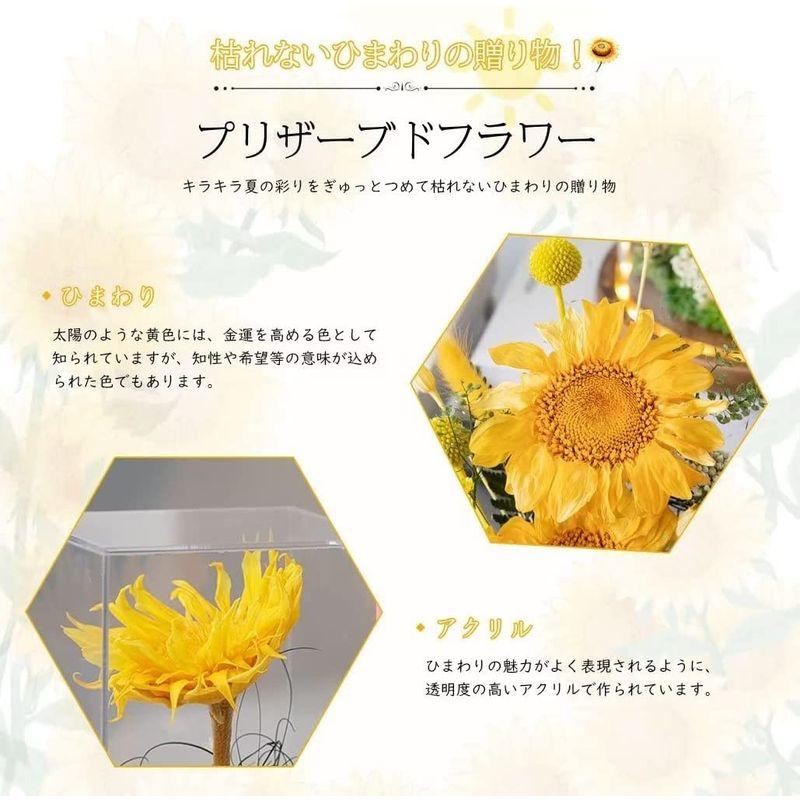 ＊ひまわり様専用ページ＊ ひまわり様 専用ページ 専用ひまわり様 ひまわり様専用ページ なけれ