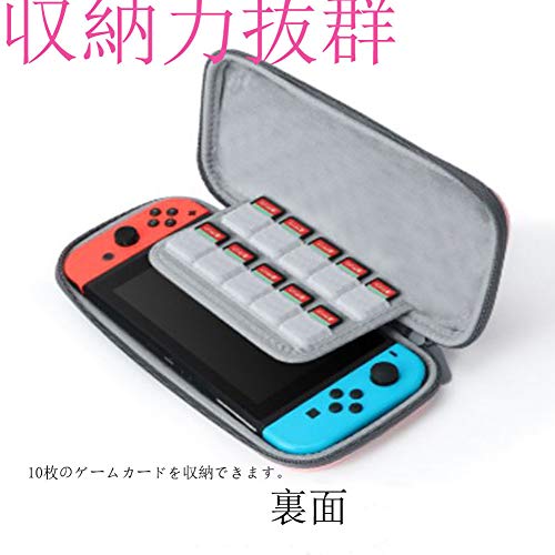 Switch ケース 2