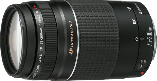 キャノン望遠レンズ Canon EF 75-300mm F4-5.6 Ⅲ USM - レンズ(ズーム)