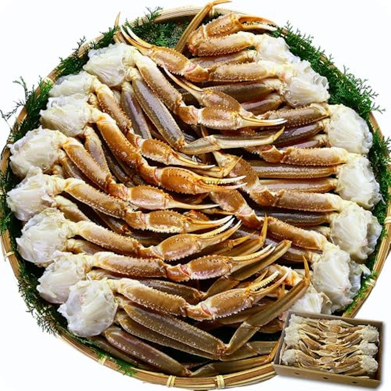 生ずわいがに 足 1