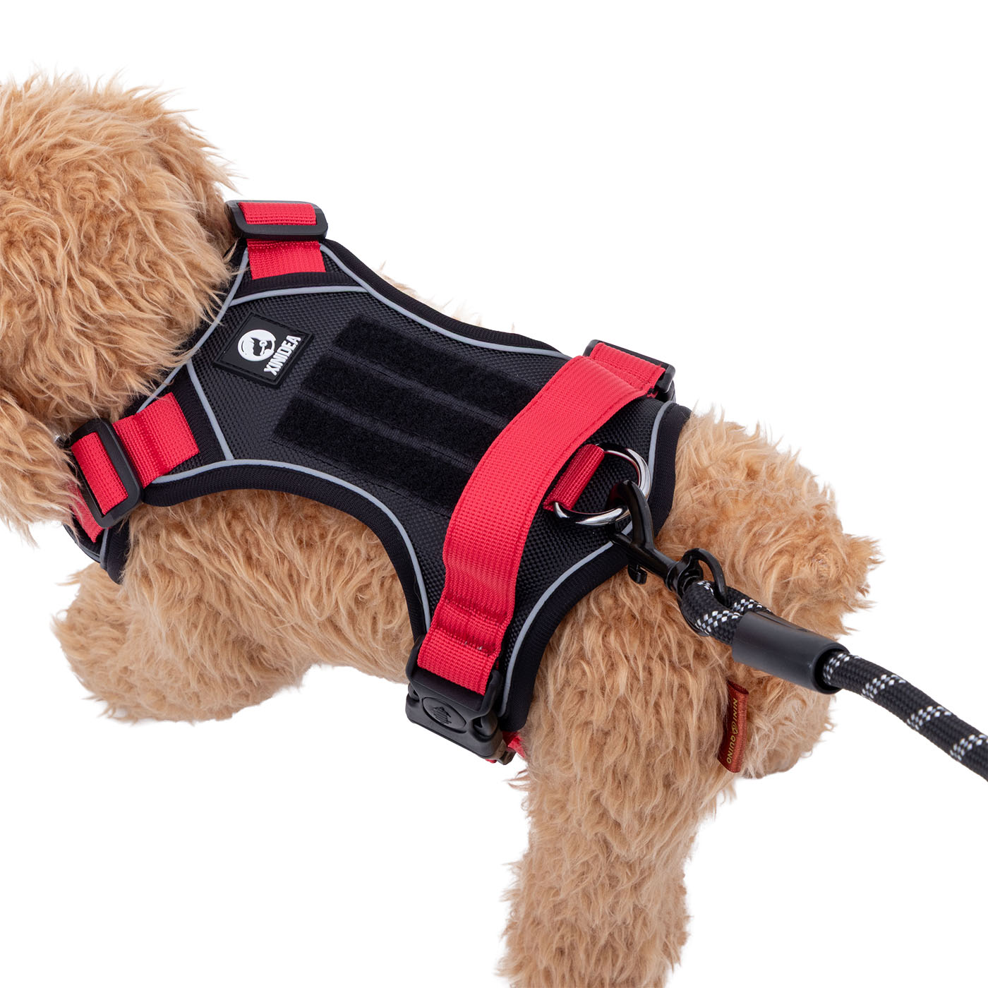 犬用ハーネスセット 7