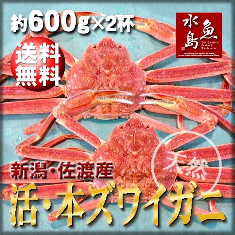 活 本ズワイガニ 2