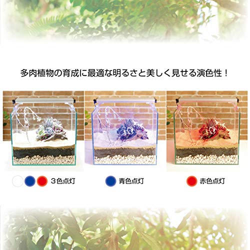 クリア LED POWERⅢ 7