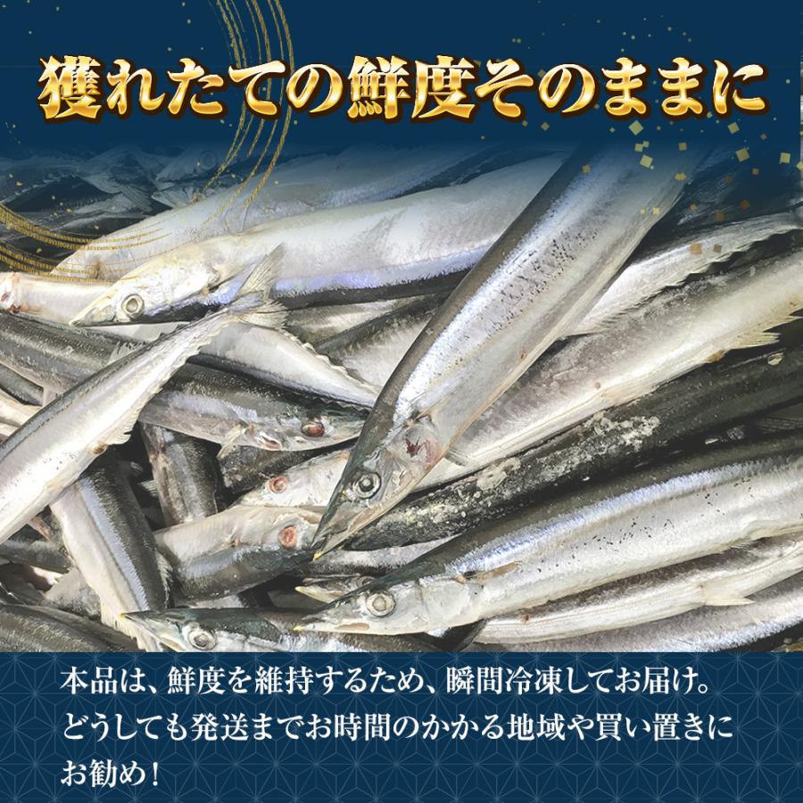  特大生冷凍さんま 8