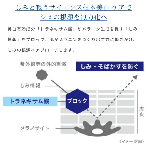 薬用メラノシグナルエッセンス 4