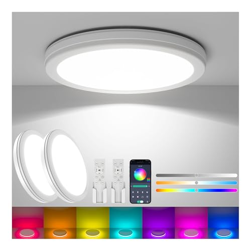 LEDシーリングライト 1