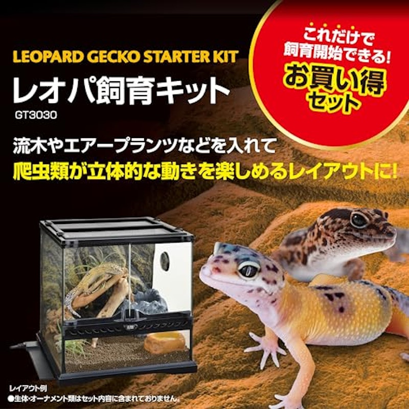 レオパ飼育キット 2