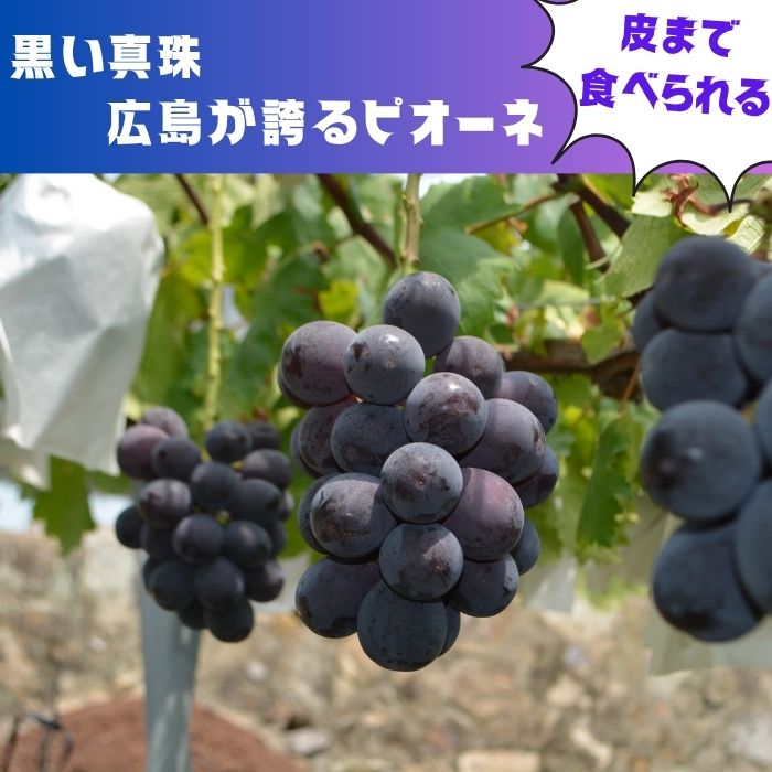 ピオーネ 広島県産 3