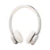FiiO Snowsky ANYTIME 1