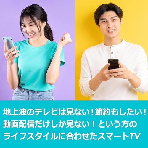 チューナーレス テレビ  3