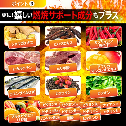燃焼革命Premium 6