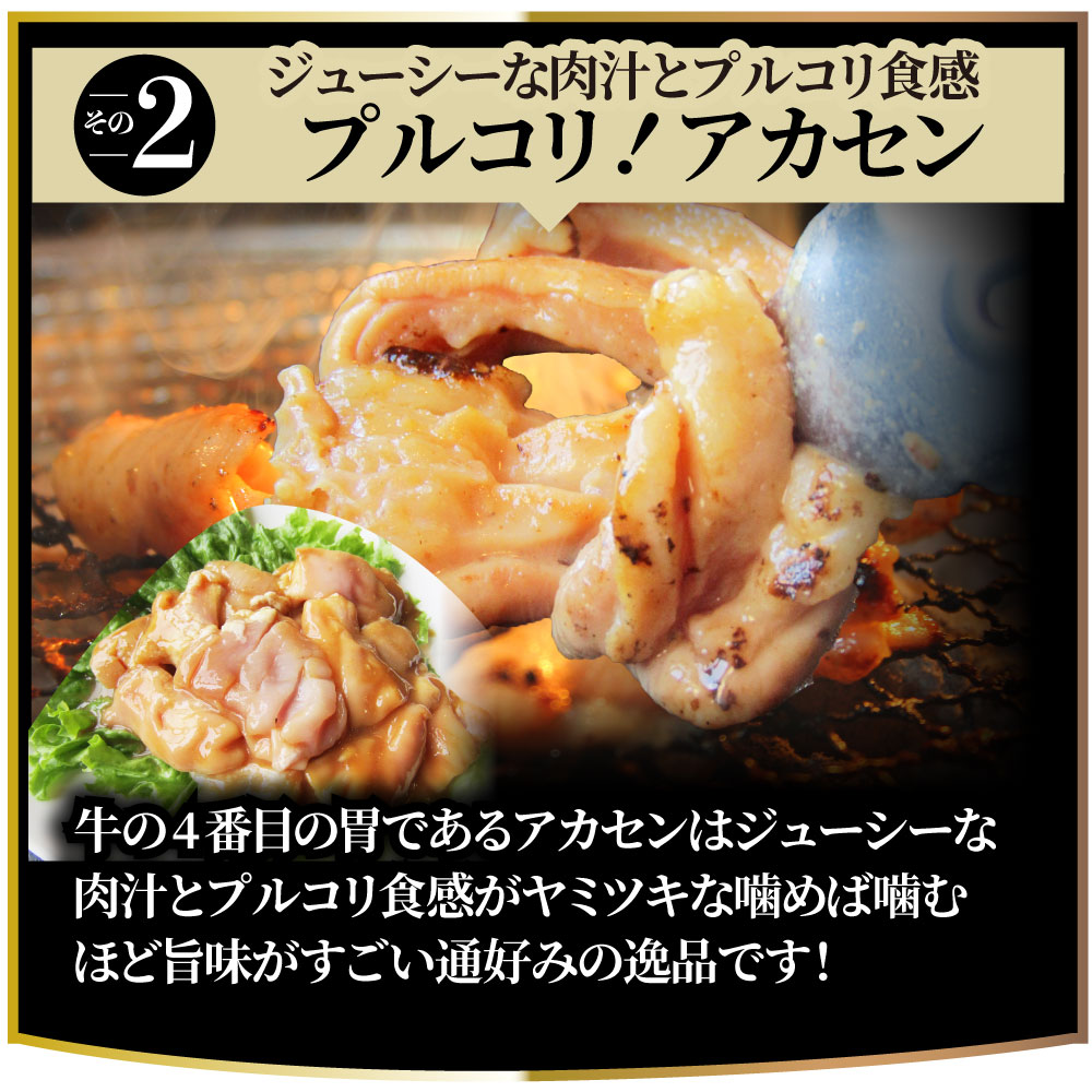  三種 ホルモン ミックス 焼肉 8