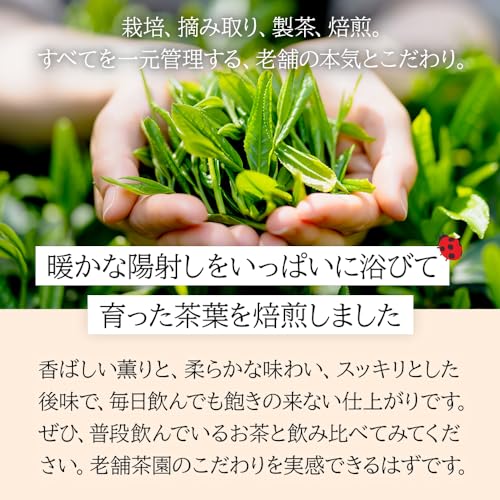 カフェインレス ほうじ茶 2