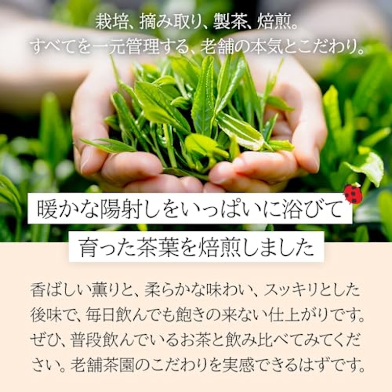 カフェインレス ほうじ茶 2
