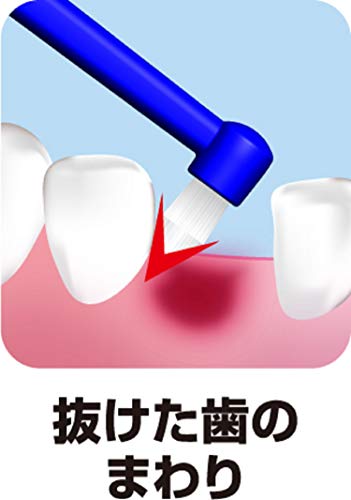 プレミアムケア ポイントブラシ 9