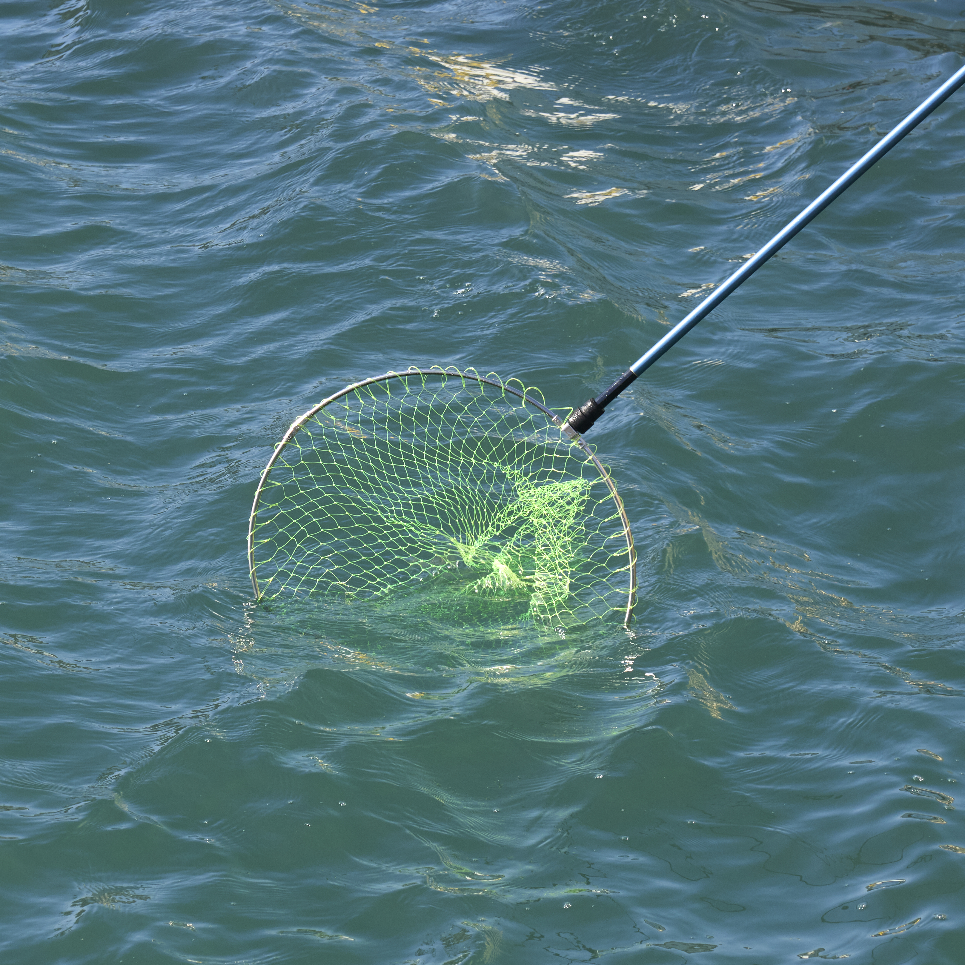 WIZZ OUTRIGGER 磯玉 5