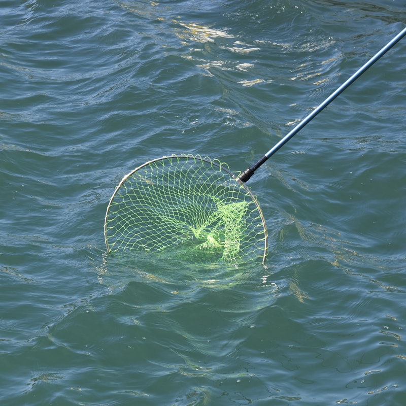 WIZZ OUTRIGGER 磯玉 5