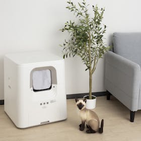 ジェックス PURE CAT AUTO TOILET PCAT01-WH 検証レビュー評価 1