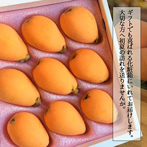 長崎県産 茂木びわ 3