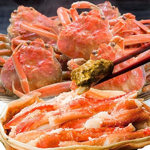 北海道産オオズワイガニ姿 1