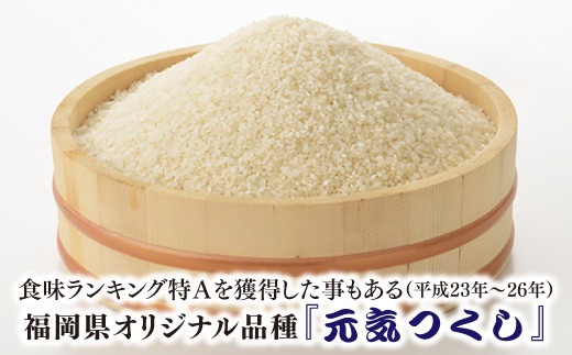 全5回定期便 特Aも獲得した自慢のお米「元気つくし」5kg 2