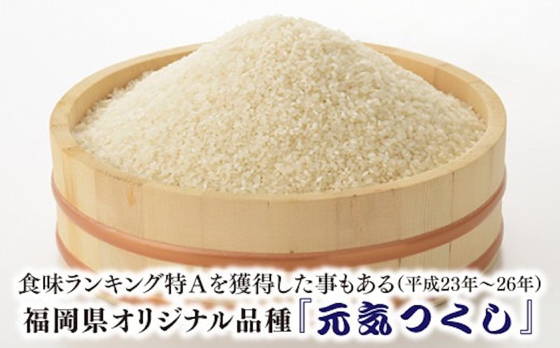 全5回定期便 特Aも獲得した自慢のお米「元気つくし」5kg 2