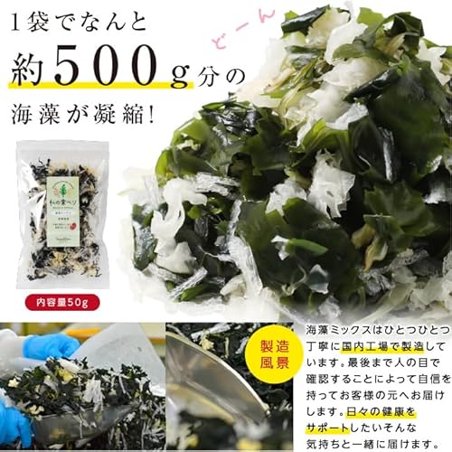 乾燥海藻 ミックス 7