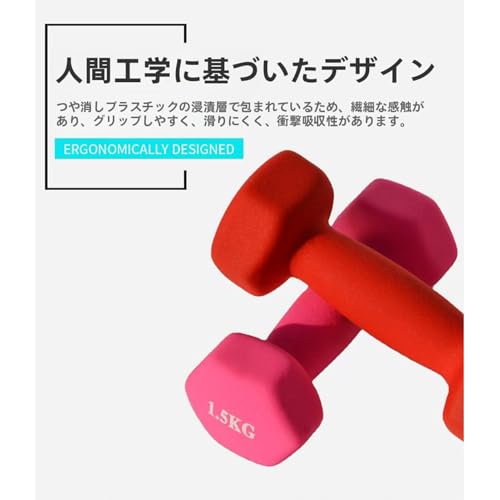 ダンベル 5