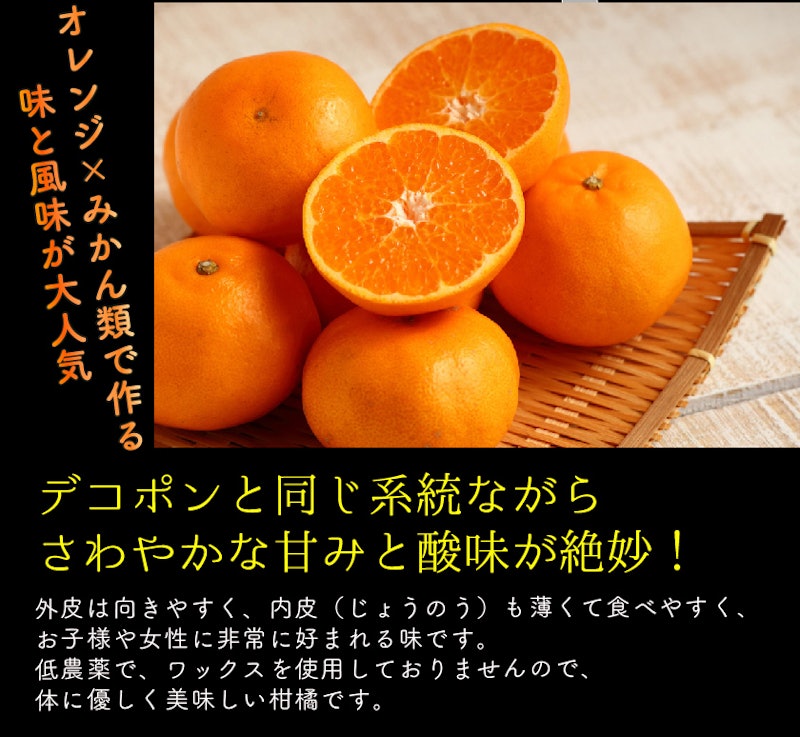 はるみ 訳あり 2