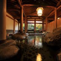 伊豆の温泉 新井旅館 1