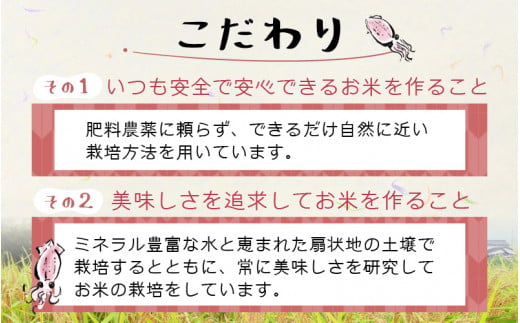 ほたるいか米 玄米 2
