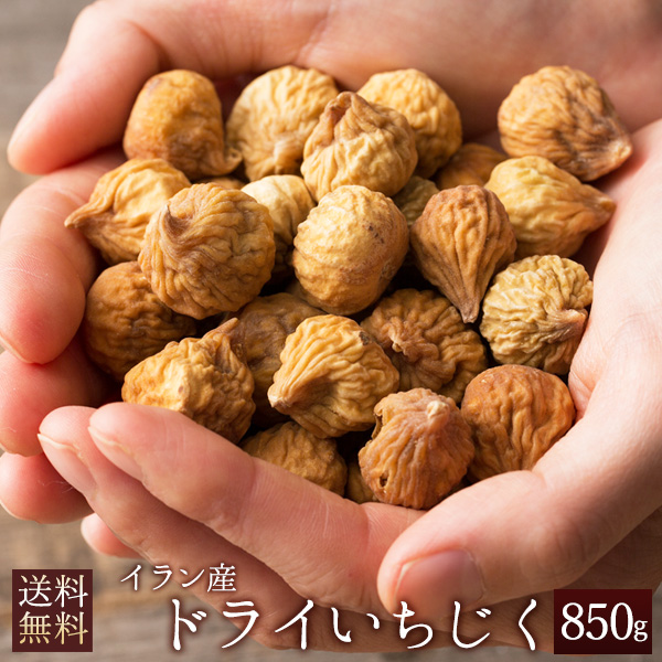 完了しました いちじく 英語 イチジク 英語で