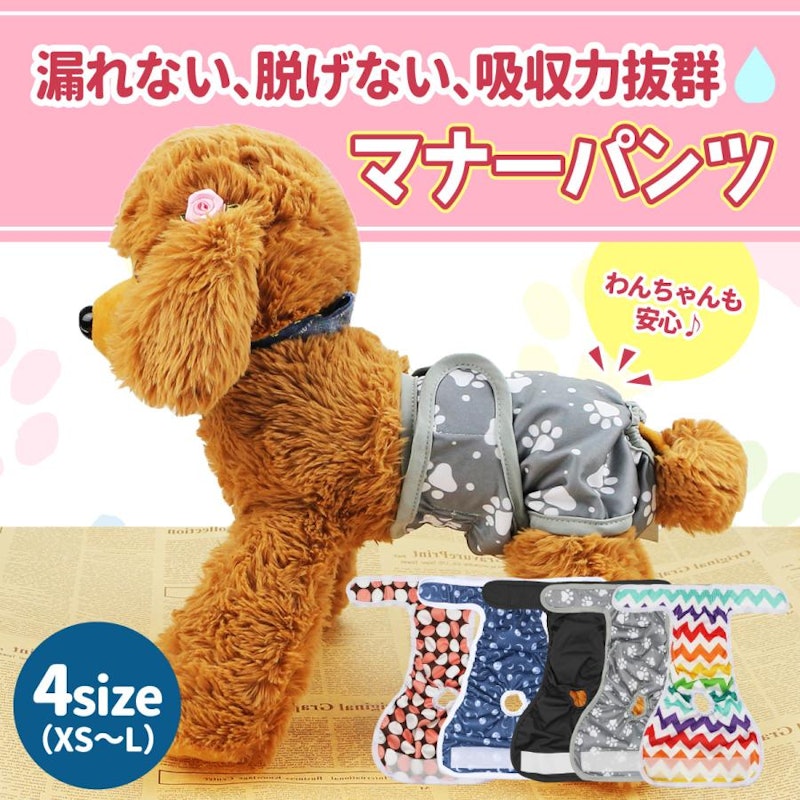 マナーパンツ 2