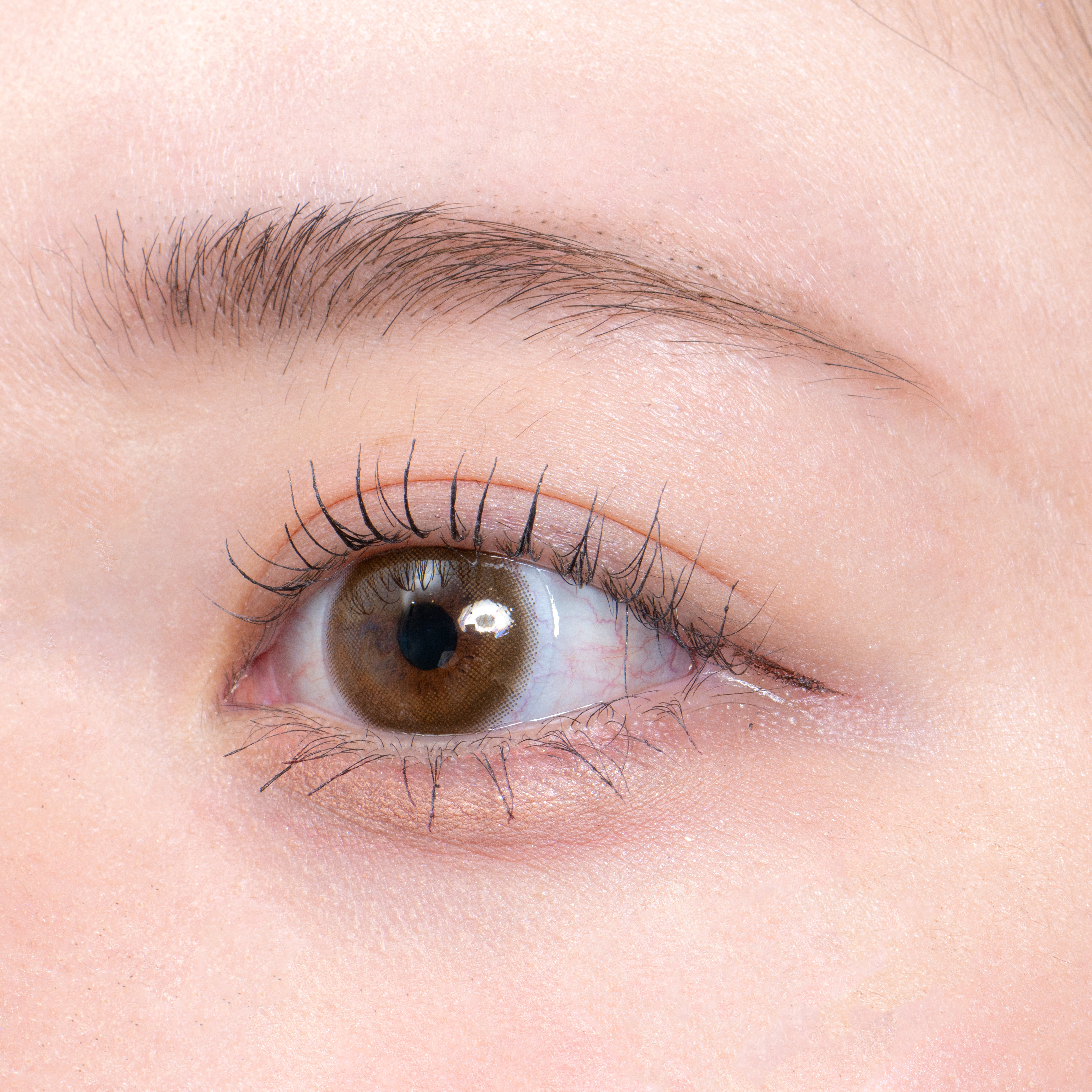 shu uemura ブローシェーダーの口コミ・評判は？実際に使ってよい点