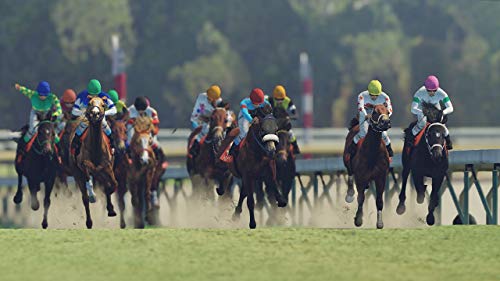 WINNING POST 9 2