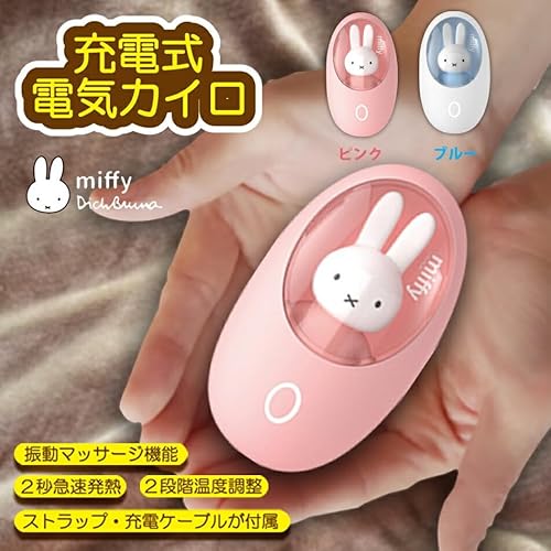 充電式電気カイロ 2