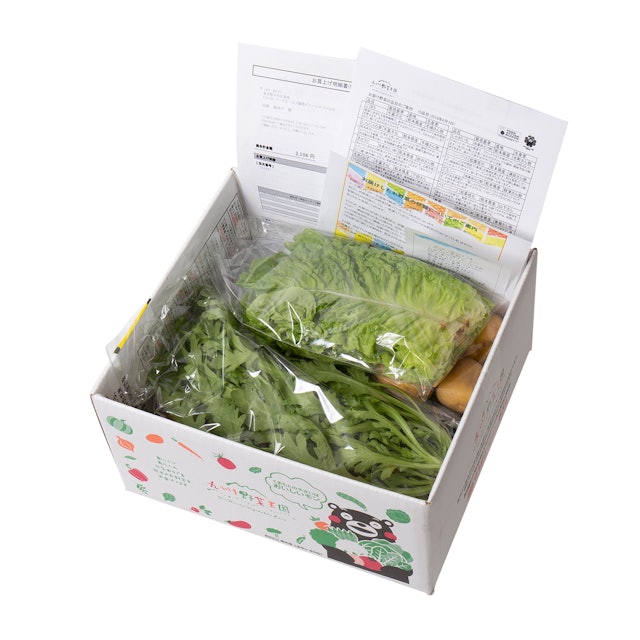 九州野菜王国を全21商品と比較 口コミや評判を実際に使ってレビューしました Mybest