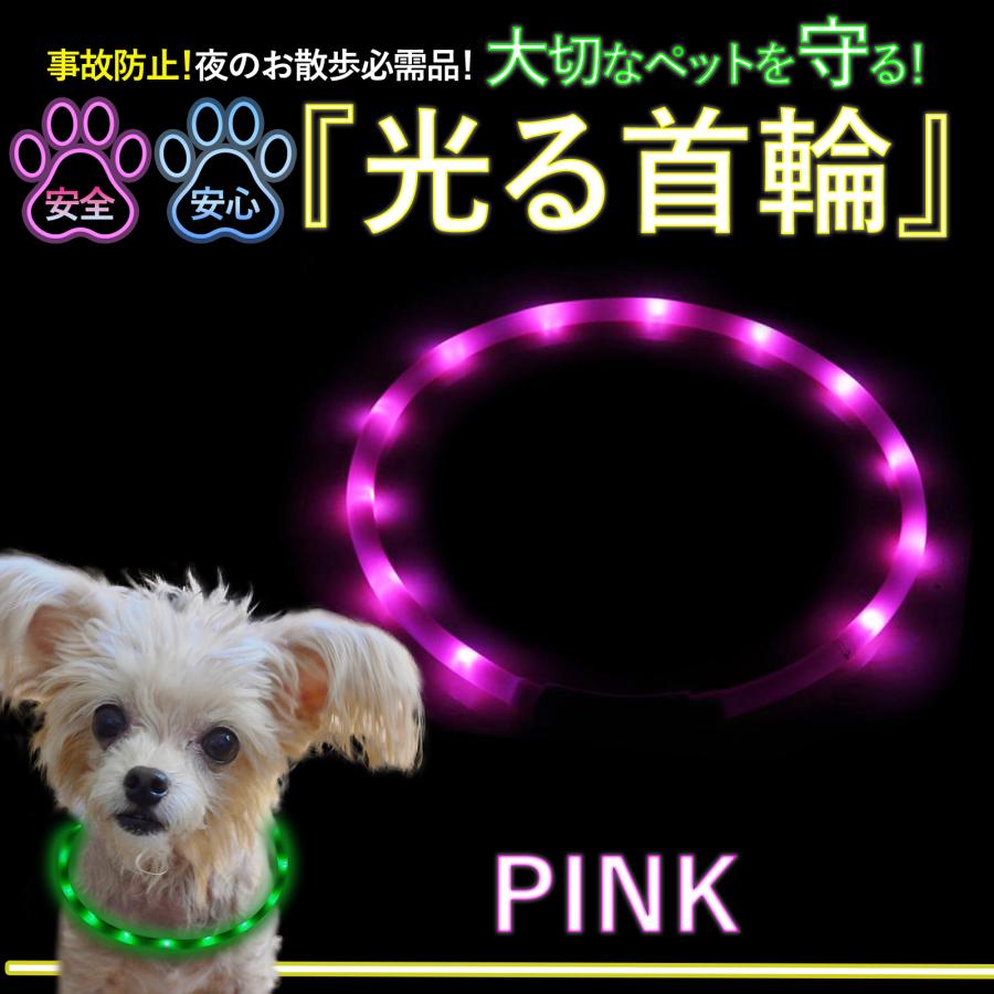 光る首輪  2