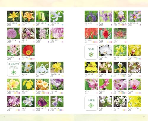 見わけがすぐつく花図鑑 2