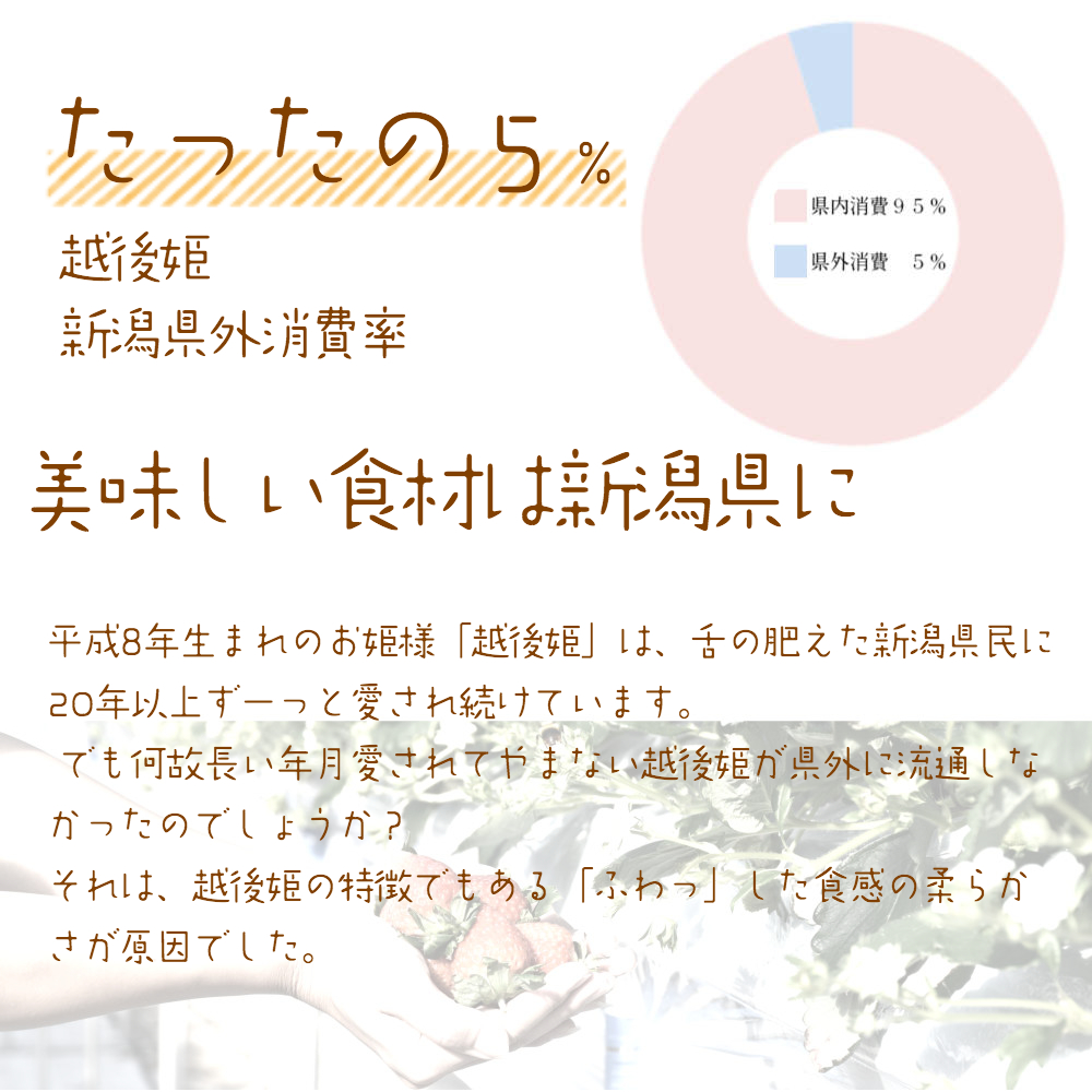雪国完熟いちご越後姫桃薫食べ比べセット 4
